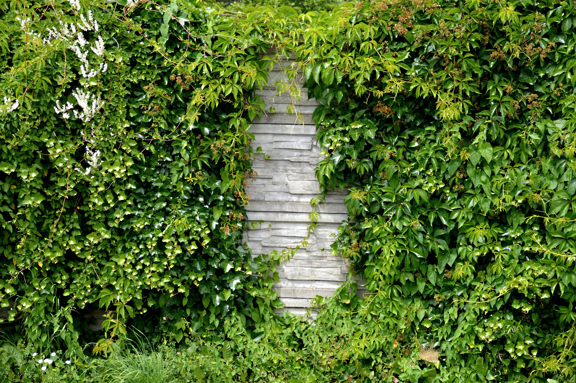 Isolation Phonique Jardin Bord De Route Tuto brico : isolation phonique de jardin - Pierrot Brico